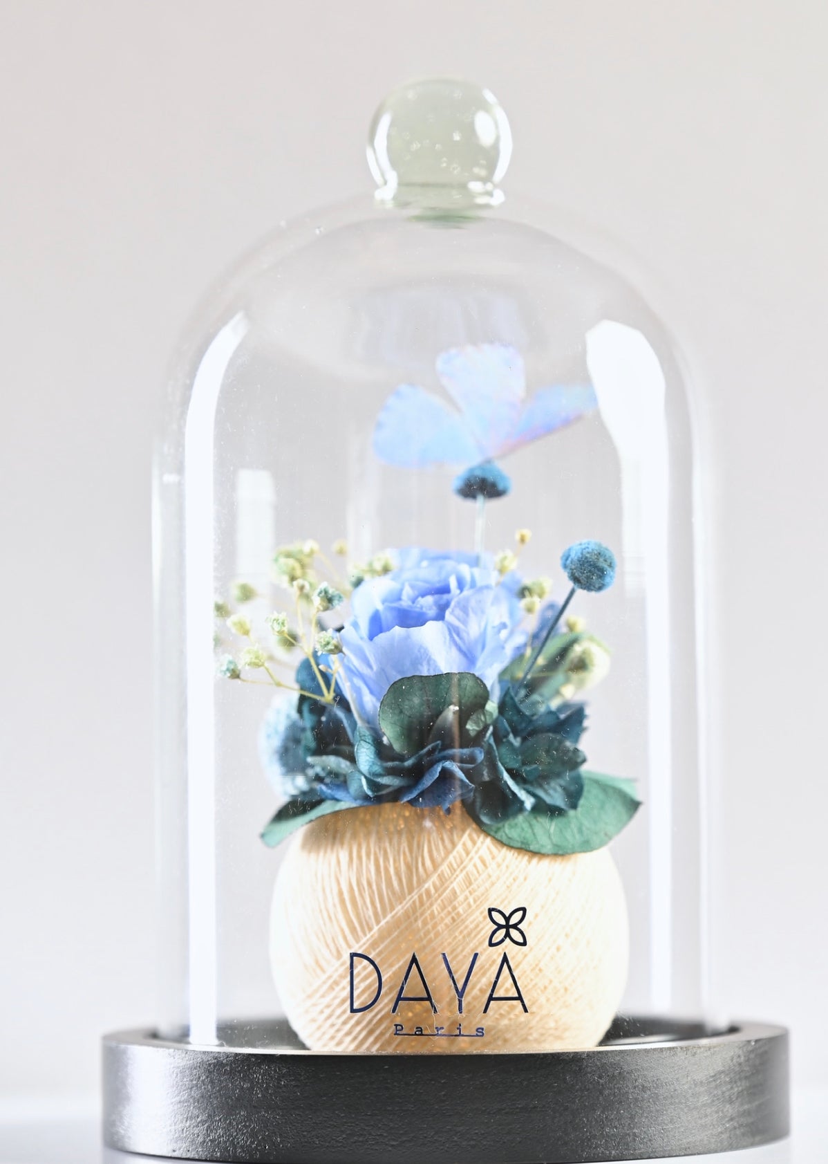 ROSE MÉDITERRANÉENNE